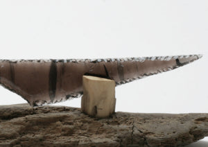 Black & Translucent Obsidian Knife with Cholla Cactus handle