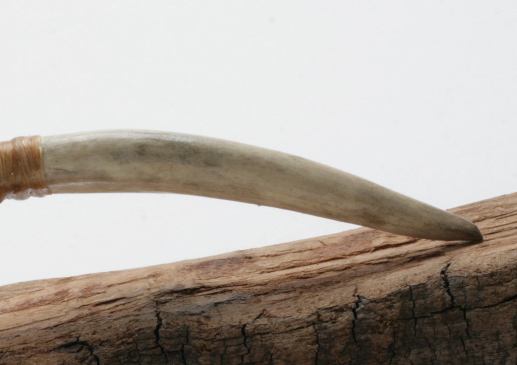 Translucent Obsidian Stone Knife with deer antler